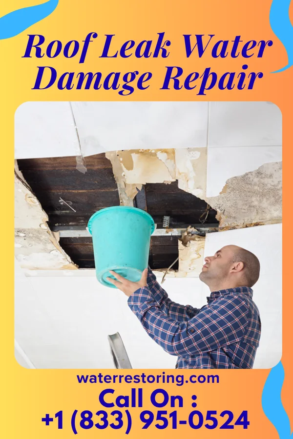 Roof Leak Water Damage Repair in Baldwyn, MS