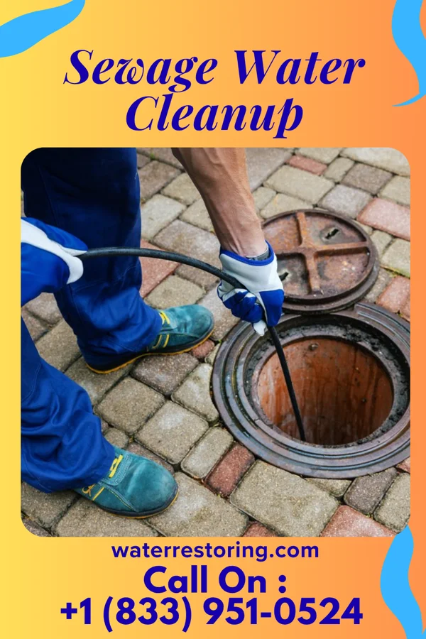 Sewage Water Cleanup in Baldwyn, MS